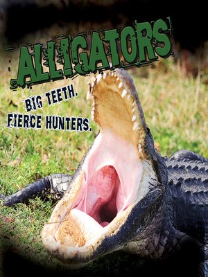 cover image of Alligators. Big Teeth. Fierce Hunters!